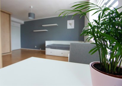 apartment for rent - Kraków, Podgórze, Kurdwanów, Łowiniecka