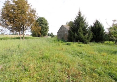 działka na sprzedaż - Słomniki, Niedźwiedź
