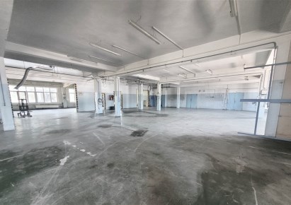 halle zu vermieten - Kraków, Nowa Huta, Krzesławice