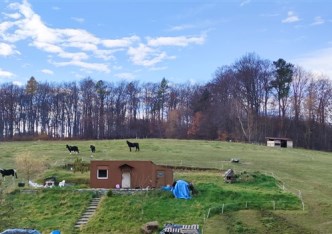 działka na wynajem - Krzeszowice, Żary